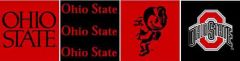 Ohio State Wallpaper Border