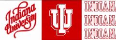 Indiana Hooiser Wallpaper Border YBL6163B