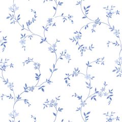 CK36603 Seed Trail Wallpaper Blue, Navy CREATIVE KITCHENS Norwall Wallcovering