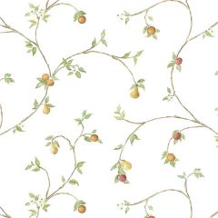CK36607 Fruit Trail Wallpaper Yellow, Red, Beige CREATIVE KITCHENS Norwall Wallcovering