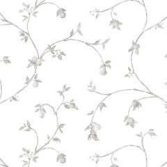 CK36608 Fruit Trail Wallpaper Light Grey CREATIVE KITCHENS Norwall Wallcovering