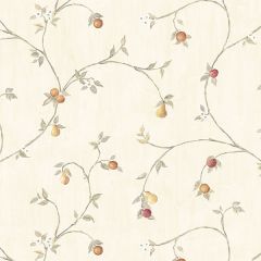CK36609 Fruit Trail Wallpaper Red, Cream, Taupe CREATIVE KITCHENS Norwall Wallcovering