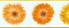 Yellow and Orange Daisy Wallpaper Border