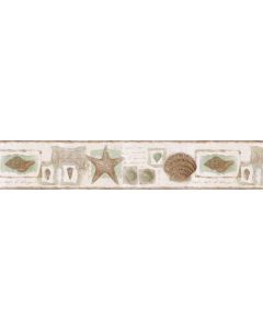Reflective Sea Shells SA75779W Wallpaper Border
