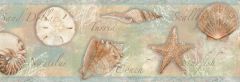Quinten Blue Seashells Toss Wallpaper Border Chesapeake BBC46051B