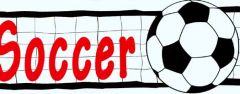 Soccer Balls Wallpaper Border