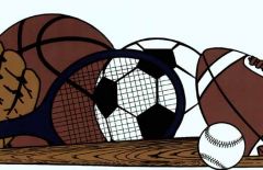 Die Cut All Sports Wallpaper Border