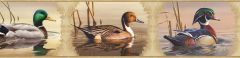Winning Cream Waterfowl Portrait Blocks Wallpaper Border Chesapeake BBC48521B