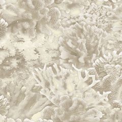 FH37501 Coral Wallpaper Beige, Antique White, Cottage White Farmhouse Living Norwall Wallcovering