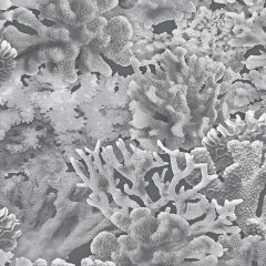 FH37503 Coral Wallpaper Grey, Dove, Charcoal, Black Farmhouse Living Norwall Wallcovering