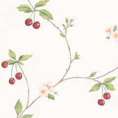 FK26957 Cherry Trail Wallpaper Red, Green Fresh Kitchens 5 Norwall Wallcovering