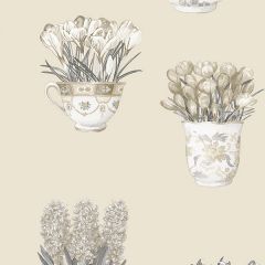 FK34422 Printemps Tea Cups Wallpaper Beige, Charcoal, Black Fresh Kitchens 5 Norwall Wallcovering