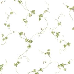 FK34437 Small Berries Trail Wallpaper Green, Beige Fresh Kitchens 5 Norwall Wallcovering