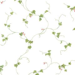 FK34438 Small Berries Trail Wallpaper Red, Green Fresh Kitchens 5 Norwall Wallcovering