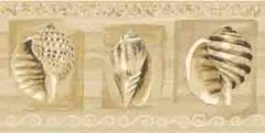 Beige Contemporary Seashell Wallpaper Border