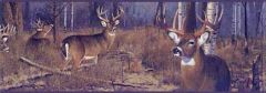 Big Buck Wallpaper Border