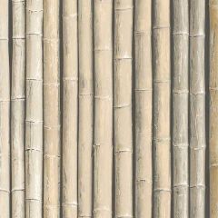 G67940 Bamboo Wallpaper Brown, Beige, Light Parchment Organic textures Norwall Wallcovering