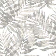 G67945 Speckled Palm Wallpaper Grey, Slate Grey Organic textures Norwall Wallcovering