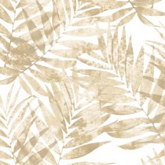 G67946 Speckled Palm Wallpaper Beige, Tan, Sand Organic textures Norwall Wallcovering