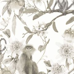 G67959 Lemur Wallpaper Beige, Sepia, Taupe, Beige Safari Organic textures Norwall Wallcovering