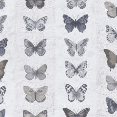 G67991 Jewel Butterflies Stripe Wallpaper Blue, Grey, Dove, Brown Organic textures Norwall Wallcovering