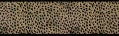 Black Animal Print Wall Paper Border