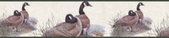 A Family of Geese Green Wallpaper Border