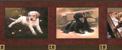 Labrador Puppy Dog Wallpaper Border - Seabrook Designs