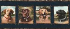 Blue Labrador Dog Wallpaper Border