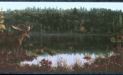 Moose by the Lake Wallpaper Border