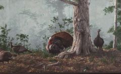 Gobblers and Hen Turkey Wallpaper Border HG522B