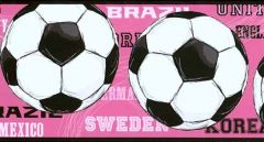 Womens World Cup Soccer Wallpaper Border