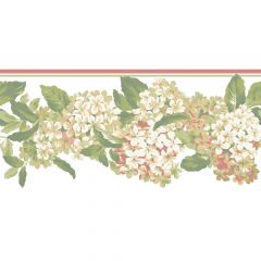 Ashford House Blooms Hydrangea Border