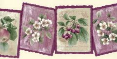 Framed Flower and Fruit Wallpaper Border