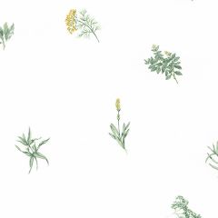 KC18532 Herb Sidewall Wallpaper Yellow, Greens Kitchen Elements Norwall Wallcovering