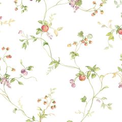 KC28534 Mini Fruit Trail Wallpaper Pink, Purple, Green Fresh Kitchens 5 Norwall Wallcovering