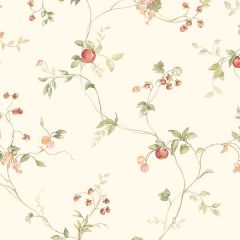 KC28535 Mini Fruit Trail Wallpaper Red, Green, Cream Fresh Kitchens 5 Norwall Wallcovering