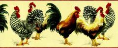 Red Rooster Wallpaper Border KC78066