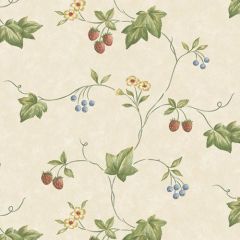KE29900 Trellis Trail Wallpaper Red, Green, Blue, Beige Kitchen Elements Norwall Wallcovering