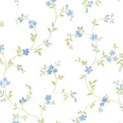 KE29908 Seed Trail Wallpaper Blue, Green Kitchen Elements Norwall Wallcovering