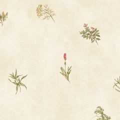 KE29916 Herb Sidewall Wallpaper Cream, Green, Red Kitchen Elements Norwall Wallcovering