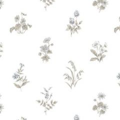 KE29934 Garden Spot Wallpaper Black, Tan Kitchen Elements Norwall Wallcovering