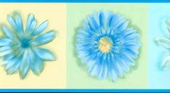 Daisy Blue Wallpaper Border