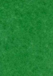 Green Faux Wall Paper