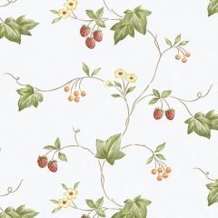 KK26752 Trellis Trail Wallpaper Green, Yellow, Orange Kitchen Elements Norwall Wallcovering