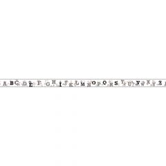 Cute and Fun Alphabet Wallpaper Border KS2209BD