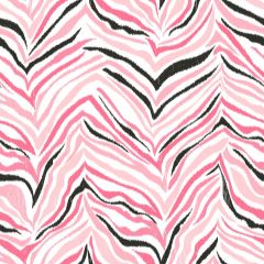 Cool Kids Multi Zebra Wallpaper