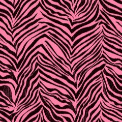 Cool Kids Ikat Zebra Wallpaper