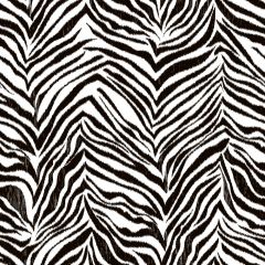 Cool Kids Ikat Zebra Wallpaper