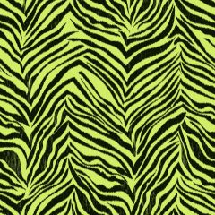 Cool Kids Ikat Zebra Wallpaper